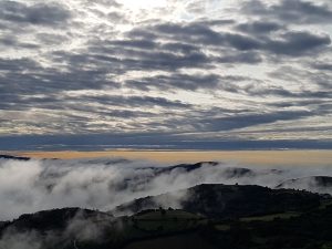 Nebel in Galizien